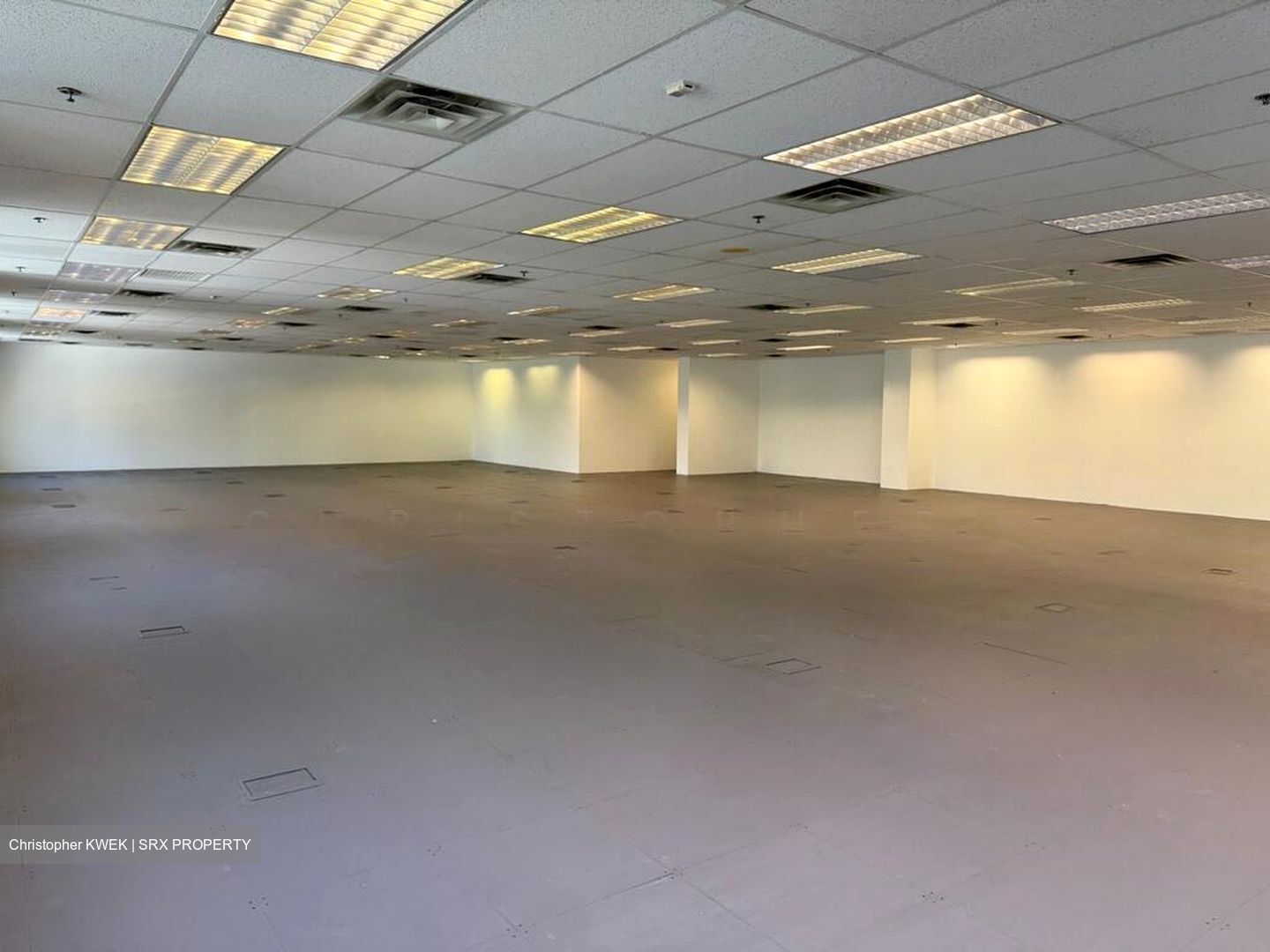 Haw Par Centre (D9), Office #495528011
